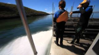 Coffin Bay Oyster Boat [upl. by Nari]