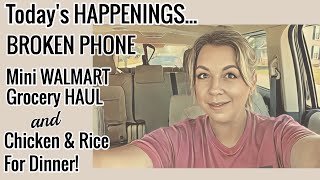 Broken Phone  WALMART Mini GROCERY Haul  CHICKEN amp RICE for DINNER [upl. by Liz]