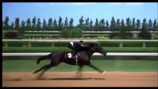 The Black Stallion final race [upl. by Enohsal]