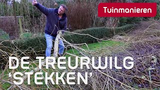 De wilg stekken Huh  Plantenkennis  Tuinmanieren [upl. by Rostand656]