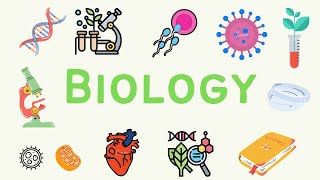 CCEA GCSE Biology Digestion [upl. by Nohcim]