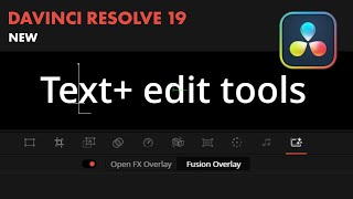 How to use Text edit tools in viewer DaVinci Resolve 19 [upl. by Atalanta92]