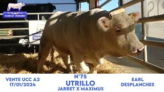 N°75 UTRILLO  EARL DESPLANCHES  JARRET x MAXIMUS [upl. by Odrareve]