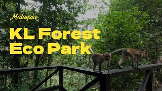 KL Eco Forest Park Walking Tour Part 2  Exploring Nature in Kuala Lumpur’s Green Haven  4K Video [upl. by Idas]