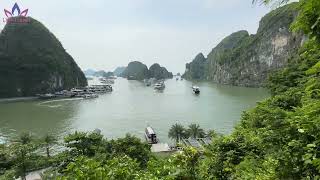 Halong Bay  panorama and overview from Halong Bay Surprising Cave [upl. by Niledam]