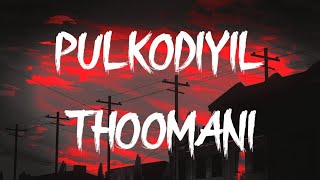 Pulkodiyil Thoomani Song Lyrics  Take Off [upl. by Nikola478]