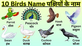 10 Birds Name  The Name of Birds in English and Hindi  Pakshiyon ke naam  पक्षियों के नाम [upl. by Catina]