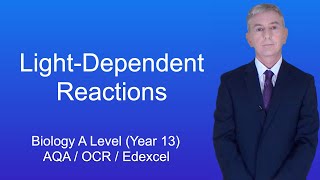 A Level Biology Revision Year 13 quotThe LightDependent Reactionsquot [upl. by Ludovico]