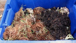 How to Make a Worm Bin  Easy DIY Worm Farm [upl. by Assirec594]