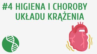 Higiena i choroby układu krążenia 4  Krążenie [upl. by Nashbar]