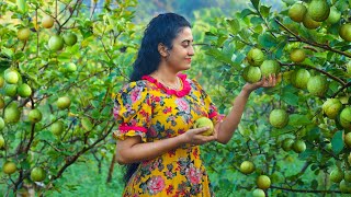 Guava Delights Sri Lankan Recipes 🍐 Making Cordial Cotton Candy Creamy Cake and More Treats [upl. by Verity]