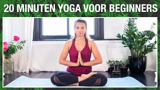 20 min Yoga voor Beginners  YOGA MET MILOU [upl. by Spada]