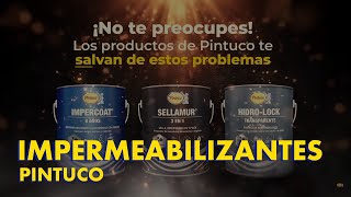 Los Expertos en Impermeabilización  Pintuco [upl. by Lyle]