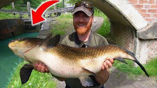 I Just Caught A Canal GIANT New PB [upl. by Nywroc998]