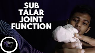 SUBTALAR JOINT FUNCTIONANKLE JOINT BIOMECHANICSPhysiotherapy Tutorials [upl. by Jesselyn]