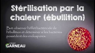 Stérilisation par la chaleur ébullition [upl. by Arawaj]