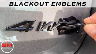 Blackout Car Emblems  Logo Cheaply and Easily  Plastidip  Hyperdip [upl. by Sardella]