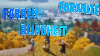 Fortnite FARBENBLINDHEIT einstellen Tutorial  SABO [upl. by Anelehs]