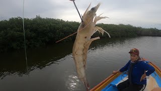 Pesca de Pargo con mi Esposa con piola y tabla en mano [upl. by Aneerehs]