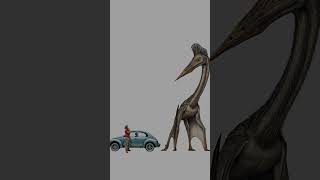 Descubre al Quetzalcoatlus El Animal Volador Más Grande Conocido en la Historia de la Tierra [upl. by Neehsuan]