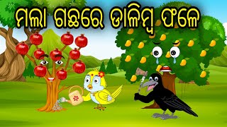 Mala Gachare Dalimba Fale  Odia Cartoon Odia Bird Stories Odia Chadhei Gapa Odia Moral Story [upl. by Venterea383]