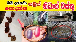 දකින්න දුර්ලබ නිදන් වස්තු ashiya vlog nidan wasthu nidan salakunu visthara [upl. by Rodie112]