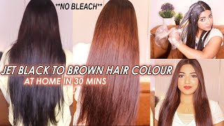 I coloured my Jet BLACK Hair to Golden BROWN Hair without BLEACH at home ✨Hair Transformation [upl. by Halyk]