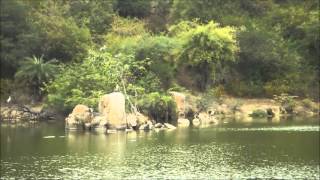 Bannerghatta Nature Camp  Jungle Lodges amp Resorts  Bangalore Karnataka [upl. by Edmonds]