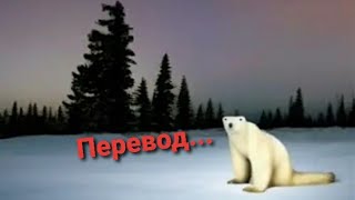 Как переводится звук из мема 2026 года [upl. by Cyrano446]