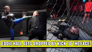 Eddie Hall Gets Kicked In Face While Sparring ufc [upl. by Irahc520]