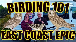 BIRDING 101 EAST COAST EPIC [upl. by Godspeed]