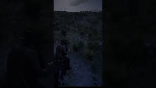 RED DEAD REDEMPTION 2 hunting [upl. by Selrahc]