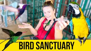 Bird Sanctuary Rocklands Jamaica Video Guide [upl. by Jorge797]