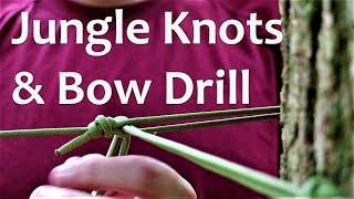 Jungle Knots  A Tarp Ridgeline Alternative  Bow Drill Practice  Tea in the Woods [upl. by Eceinert]