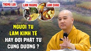 Người Xuất Gia Có Nên Làm Kinh Tế Không  Thầy Thích Pháp Hòa [upl. by Nnair31]