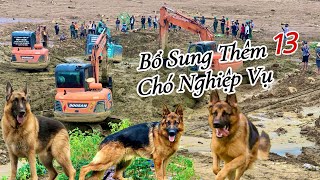 CHẠM TỚI CHIẾC CẦU BÍ ẨN CỦA LÀNG NỦ ĐỘ SÂU KINH HÃI NGHI NGỜ SẼ CÓ NHIỀU THI THỂ MẮC Ở CHÂN CẦU [upl. by Marr]