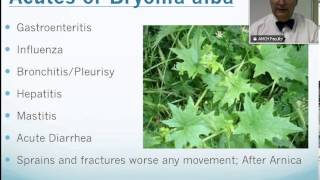 Bryonia Alba Homeopathic Medicine Tips For Beginners [upl. by Aryahay962]