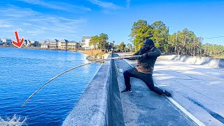 Dropping Live Baits On A CANE POLE Under This Bridge For Dinner [upl. by Nevsa738]