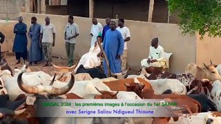 MAGAL TOUBA 2024  les premières images à l’occasion du 1er SAFAR avec S Saliou Ndigueul Thioune [upl. by Harlene30]