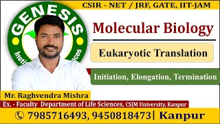 Eukaryotic Translation  Molecular Biology  CSIR NETJRF  Life science [upl. by Pavyer]