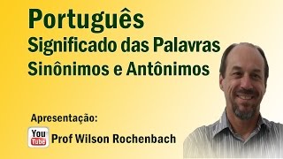 Significação das Palavras  Aula 01 Sinônimos e Antônimos [upl. by Inalaehon573]