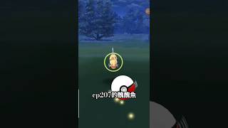 cp207的醜醜魚｜pokémon pokemongo 精靈寶可夢 [upl. by Idahs]