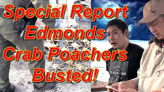 SPECIAL REPORT Edmonds Pier Poachers [upl. by Ielak]