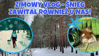 VLOG❄️💙 ZIMOWY SPACER W LESIE🌲 SPRZĄTANIE I URZĄDZANIE KLATKI MILUSIA🐹 I INNE… [upl. by Bautram533]