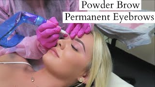 TATTOOED EYEBROWS quotPowder Browquot Experience Before amp After  ARTFUL BEAUTY [upl. by Bank]