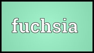 Fuchsia Meaning [upl. by Elatsyrc]