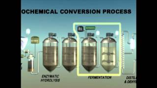 Biochemical Enzymatic Hydrolysis [upl. by Hussey]