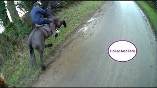 Riding and Driving Fairytale Friesian Horses [upl. by Kotta]