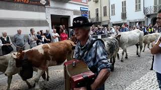 Transumanza Pont Canavese 29 09 2019 [upl. by Martens]