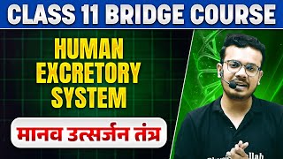 मानव उत्सर्जन तंत्र  Class 11th Biology BRIDGE COURSE  अब तैयारी पूरी Basics से 🔥 [upl. by Atenaz]